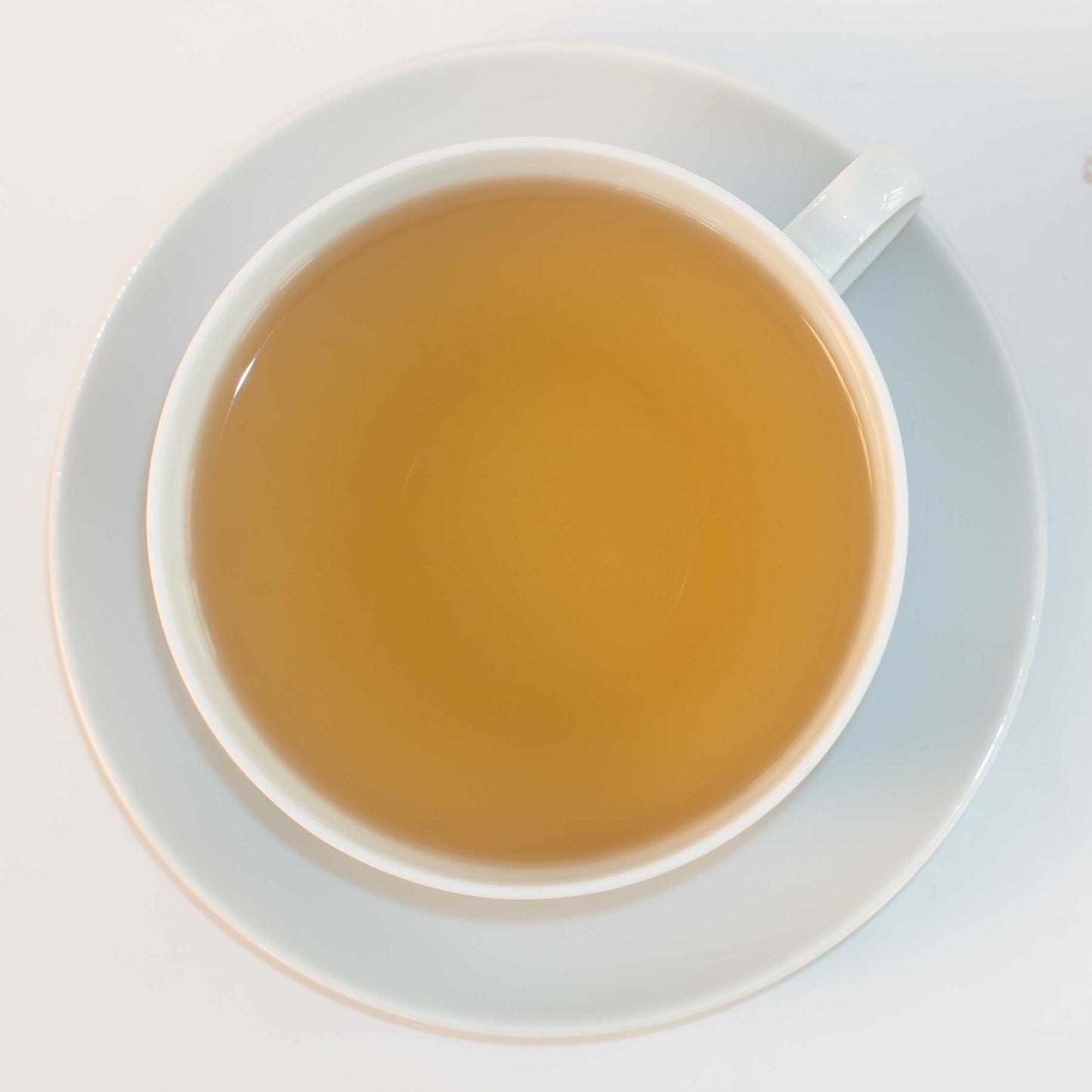 Green Kick (Gastro)