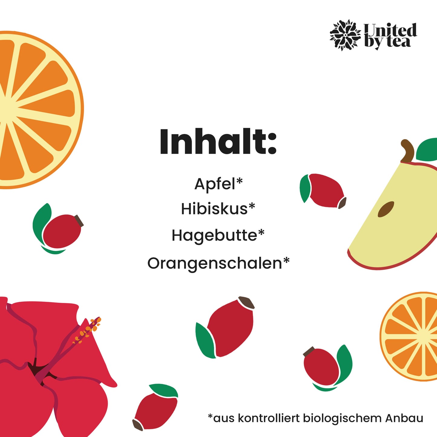 Fruity Orange (Gastro)