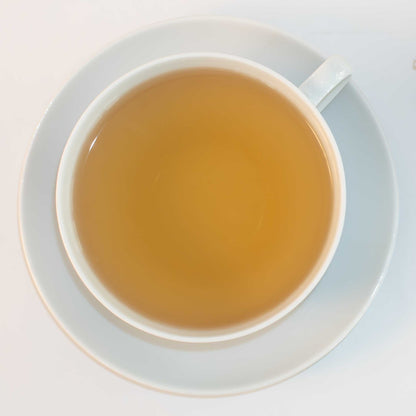Green Kick (Gastro)