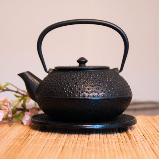 Große gusseiserne Teekanne – "Kyusu" (1,5 Liter)