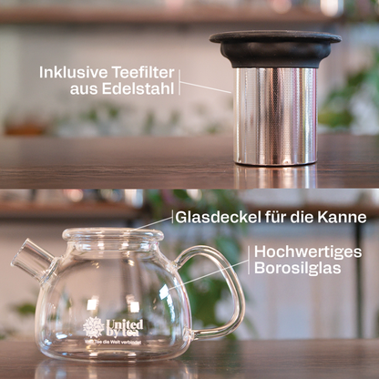 Teekanne aus Borosil-Glas