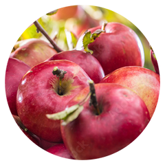Ansammlung roter Äpfel
