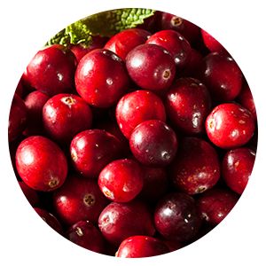 Ansammlung an Cranberries